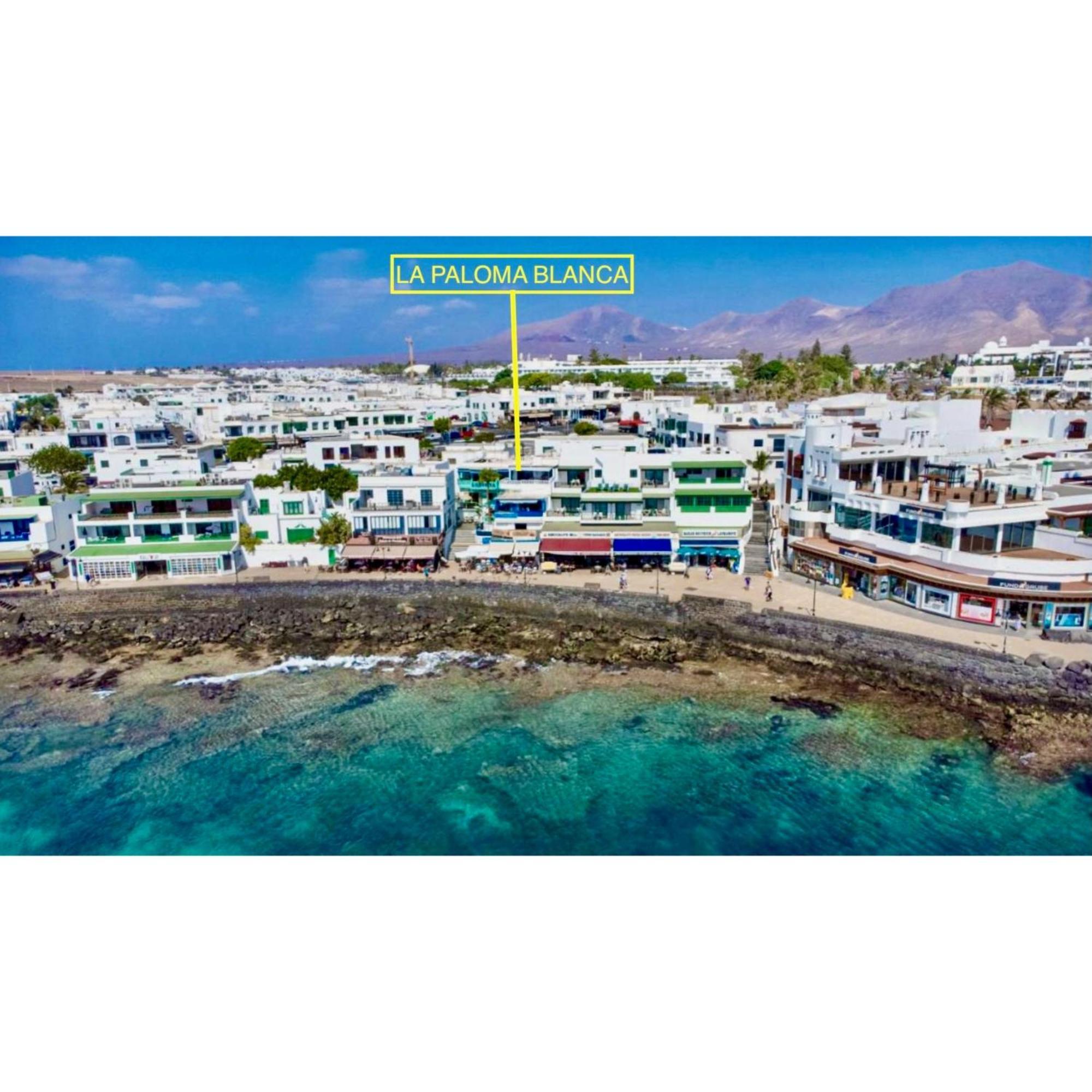 Apartamento La Paloma Blanca The White Dove Playa Blanca  Exterior foto